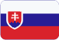 Palettenspannsysteme Slovensky
